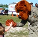 Johnson Primary School Career Day Observance