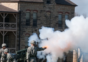 ‘Dragons’ case colors for inactivation