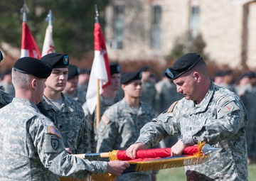 ‘Dragons’ case colors for inactivation