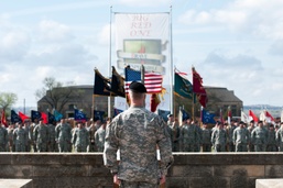 ‘Dragons’ case colors for inactivation