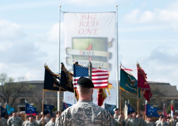 ‘Dragons’ case colors for inactivation