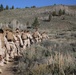 Integrated Task Force Marines conduct MCOTEA pilot test aboard Mountain Warfare Training Center, Bridgeport, Calif.