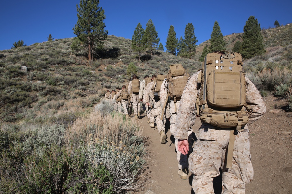 Integrated Task Force Marines conduct MCOTEA pilot test aboard Mountain Warfare Training Center, Bridgeport, Calif.