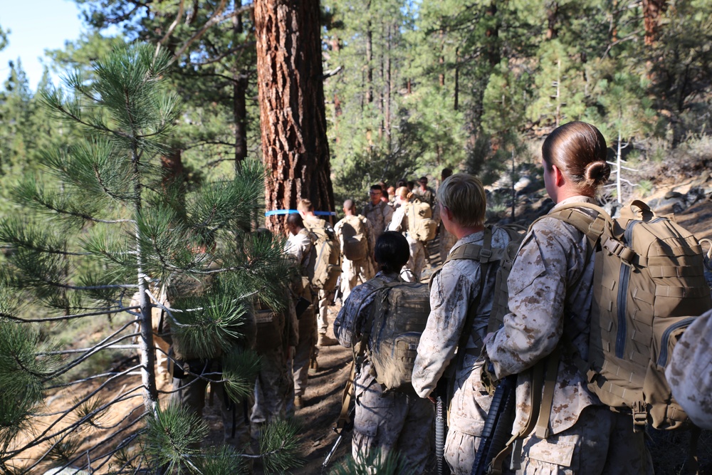 Integrated Task Force Marines conduct MCOTEA pilot test aboard Mountain Warfare Training Center, Bridgeport, Calif.