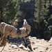 Integrated Task Force Marines conduct MCOTEA pilot test aboard Mountain Warfare Training Center, Bridgeport, Calif.