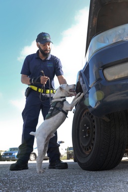 USDA dogs sniff out snakes