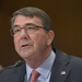 Secretary of Defense Ash Carter testifies before the Senate Appropriations Committee