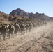 US Marines get ready to roar in Jordan