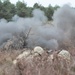 When the smoke clears: Team Eagle conducts platoon live-fire