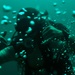 Year of the Military Diver