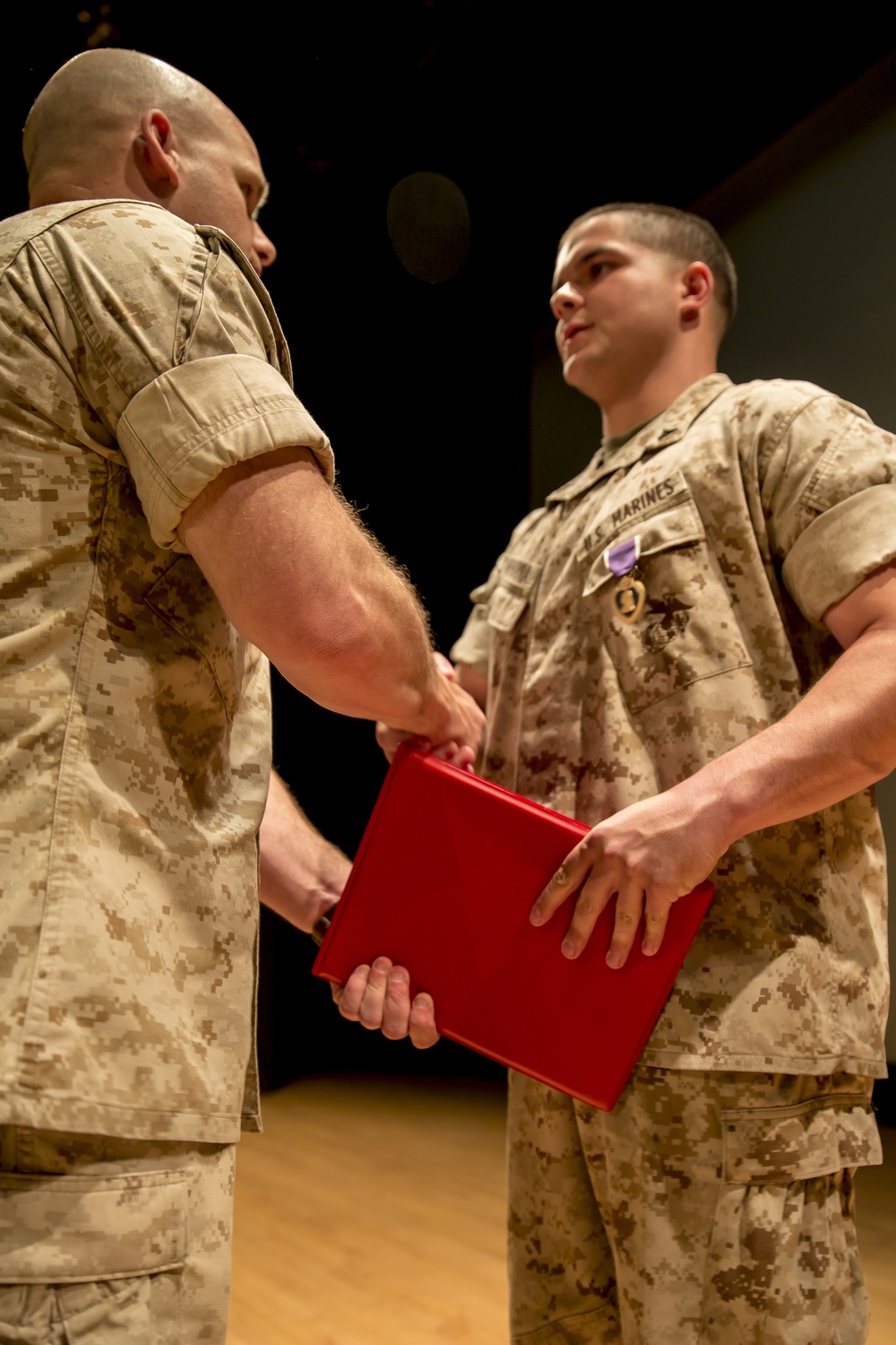 1st Bn., 2nd Marines honor brothers with Purple Heart ceremony