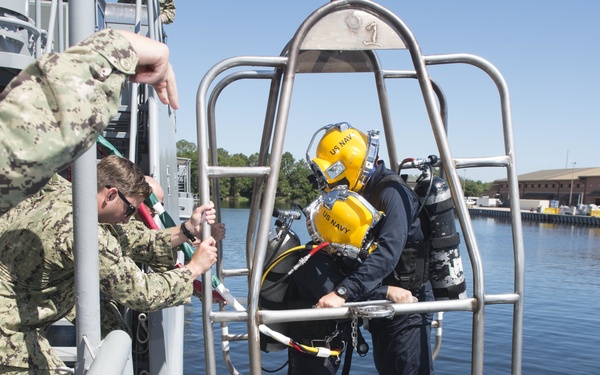 Diver training