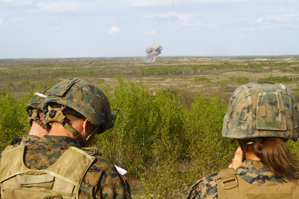 1st ANGLICO, Canadian Armed Forces call down lightning from the sky