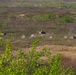 1st ANGLICO, Canadian Armed Forces call down lightning from the sky