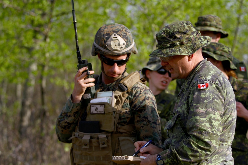 1st ANGLICO, Canadian Armed Forces call down lightning from the sky