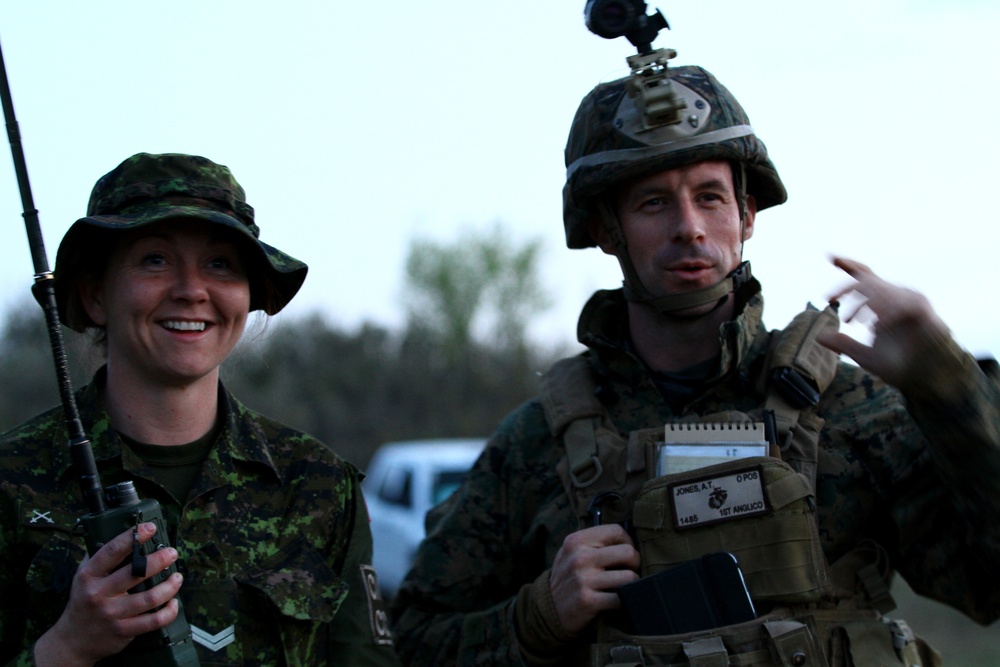 1st ANGLICO, Canadian Armed Forces call down lightning from the sky