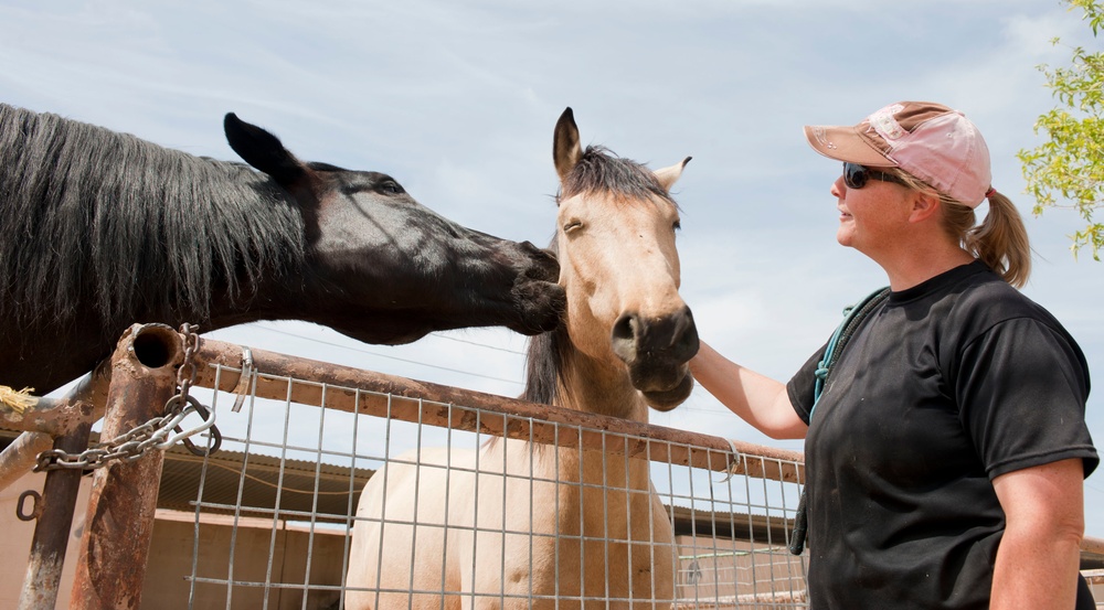 Stables help ease boarding costs