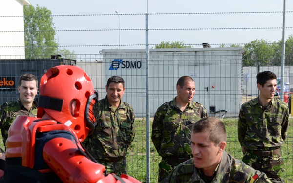 Naval Support Facility Deveselu training