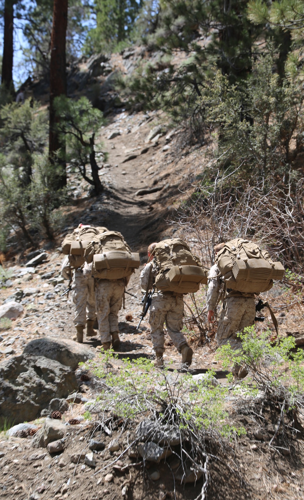 Integrated Task Force Marines begin MCOTEA assessment aboard Mountain Warfare Training Center, Bridgeport, Calif.