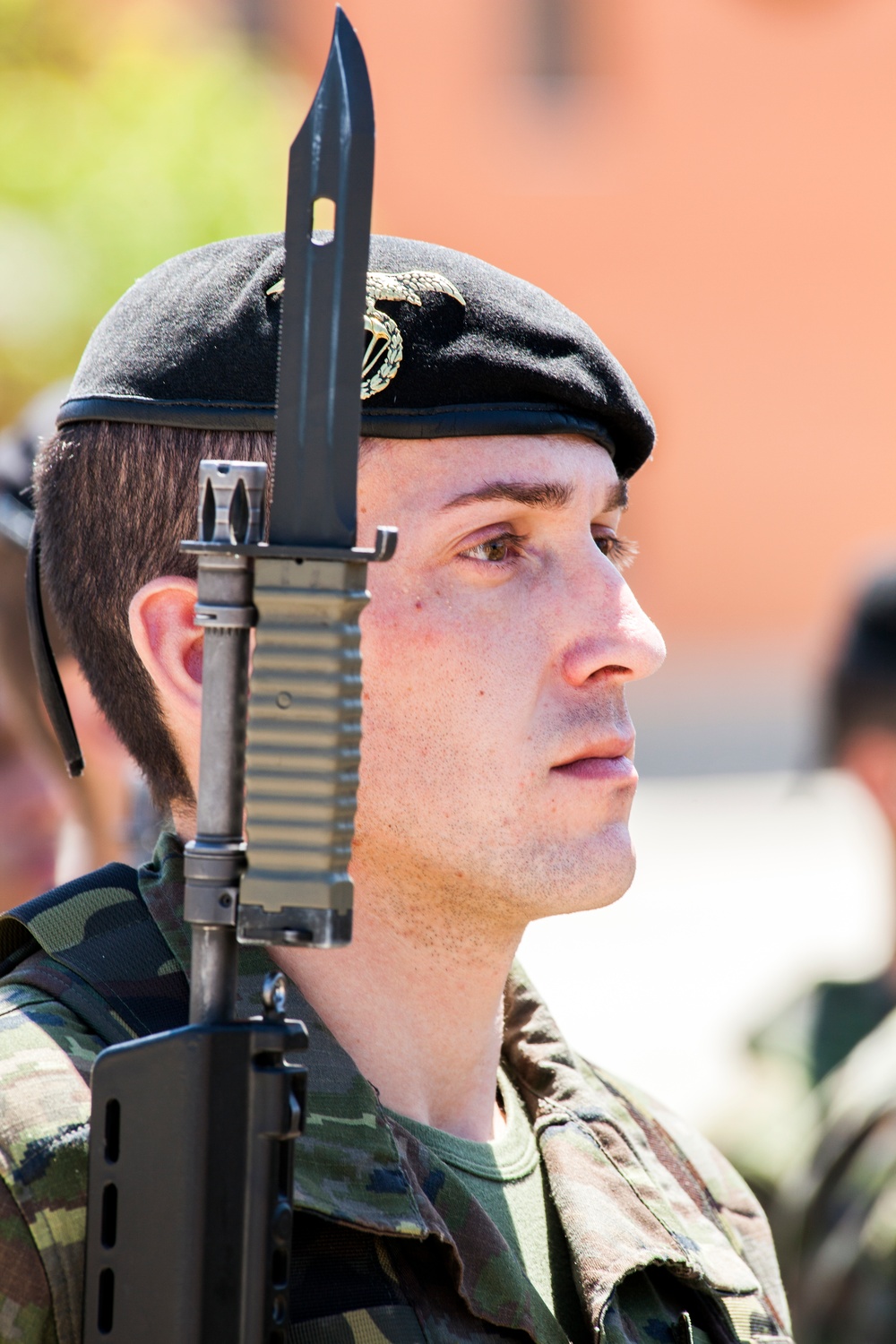 Operation Skyfall - España