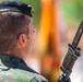 Operation Skyfall - España