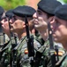 Operation Skyfall - España