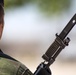 Operation Skyfall - España