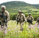 Platoon Assault: U.S. Marines team up with Spanish for live-fire training