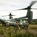 Platoon Assault: U.S. Marines team up with Spanish for live-fire training