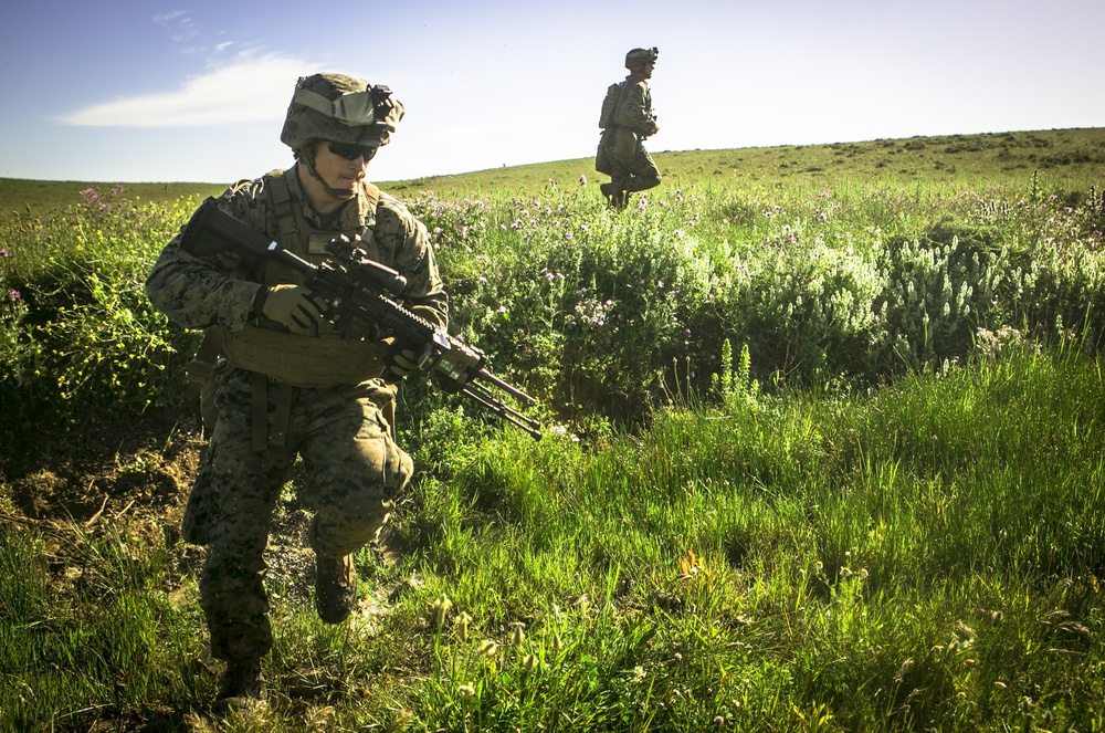 Platoon Assault: U.S. Marines team up with Spanish for live-fire training