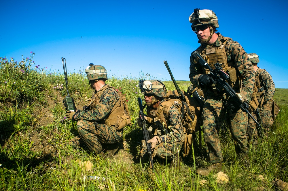 Platoon Assault: U.S. Marines team up with Spanish for live-fire training