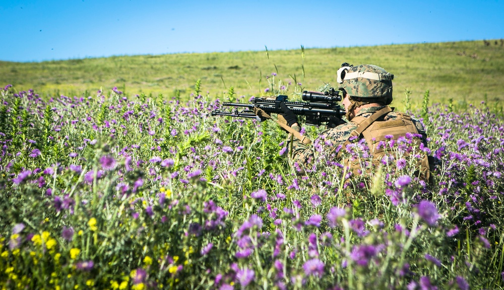 Platoon Assault: U.S. Marines team up with Spanish for live-fire training