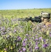 Platoon Assault: U.S. Marines team up with Spanish for live-fire training