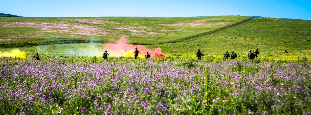 Platoon Assault: U.S. Marines team up with Spanish for live-fire training