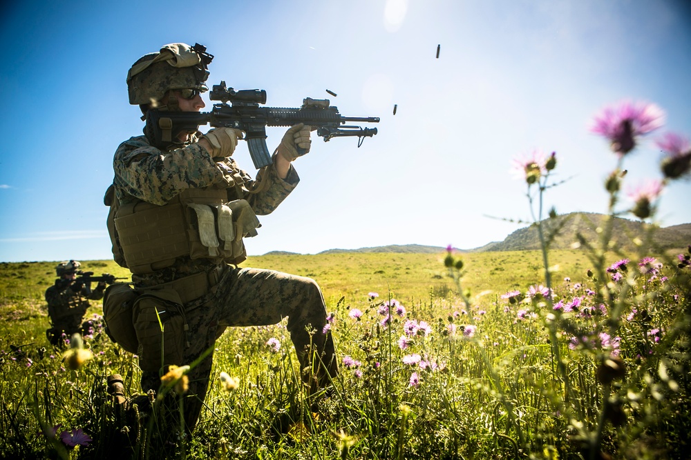 Platoon Assault: U.S. Marines team up with Spanish for live-fire training