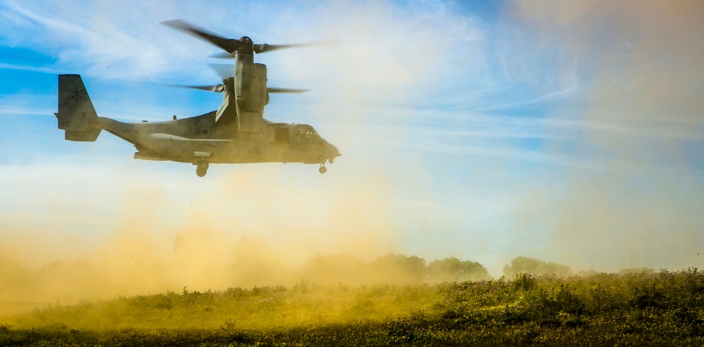 Platoon Assault: U.S. Marines team up with Spanish for live-fire training