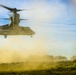 Platoon Assault: U.S. Marines team up with Spanish for live-fire training