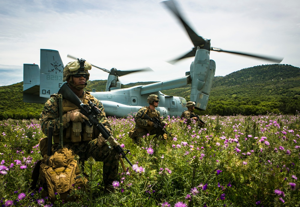 Platoon Assault: U.S. Marines team up with Spanish for live-fire training