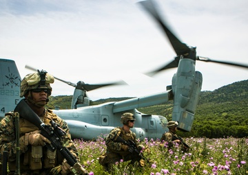Platoon Assault: U.S. Marines team up with Spanish for live-fire training