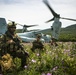 Platoon Assault: U.S. Marines team up with Spanish for live-fire training