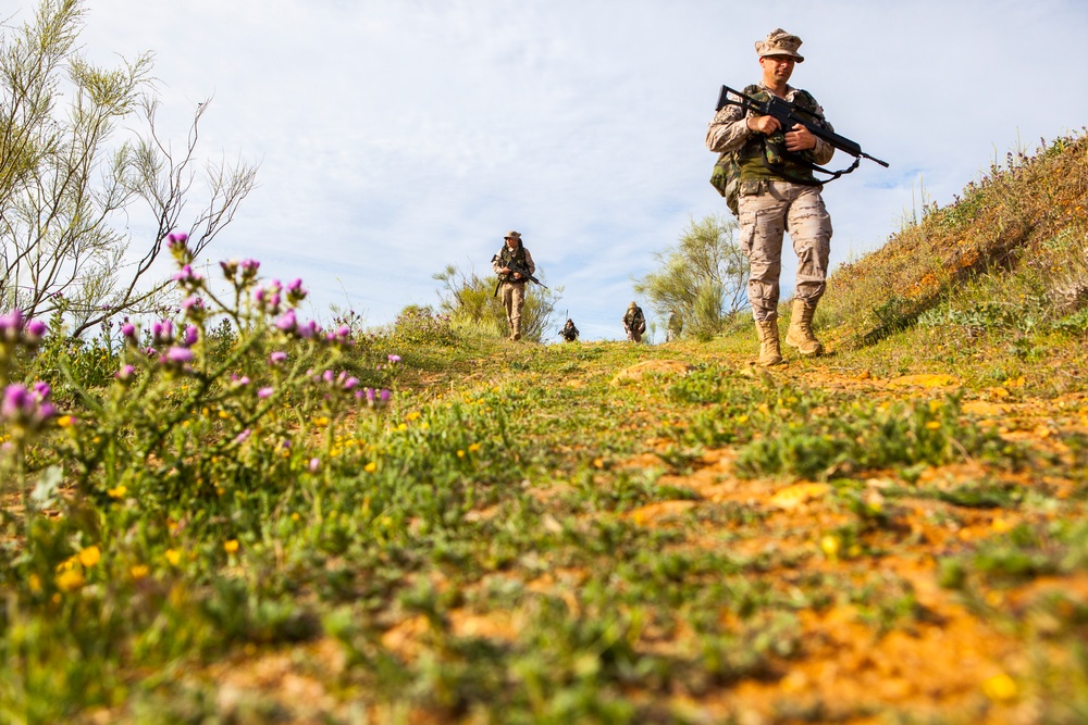 Operation Skyfall - España