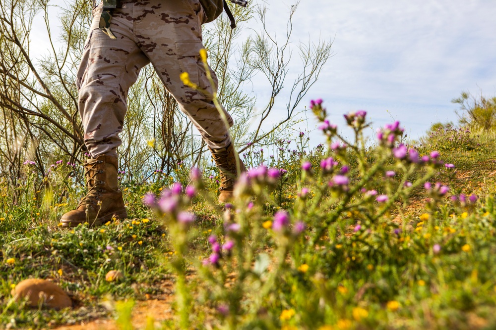 Operation Skyfall - España