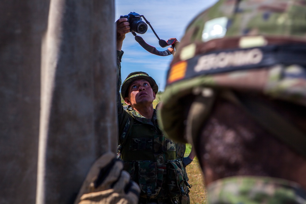 Operation Skyfall - España