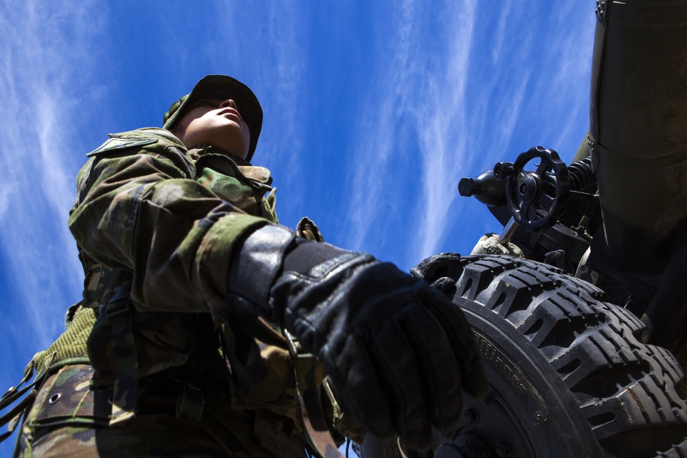 Operation Skyfall - España