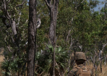 Marines training at Kangaroo Flats Training Area