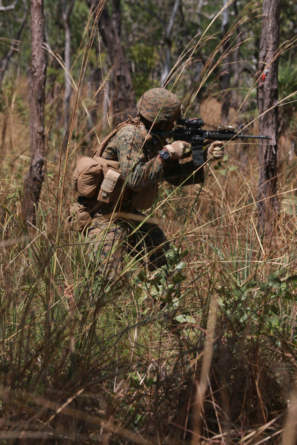 Marines training at Kangaroo Flats Training Area