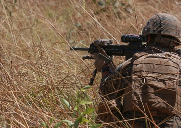 Marines training at Kangaroo Flats Training Area