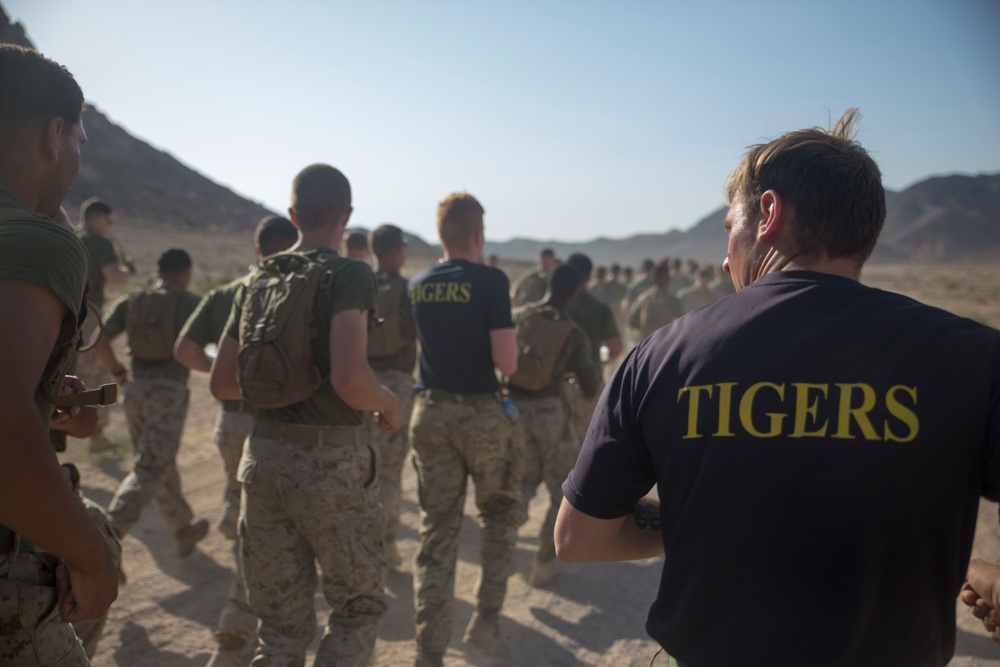 Eager Lion 15 roars into Jordan