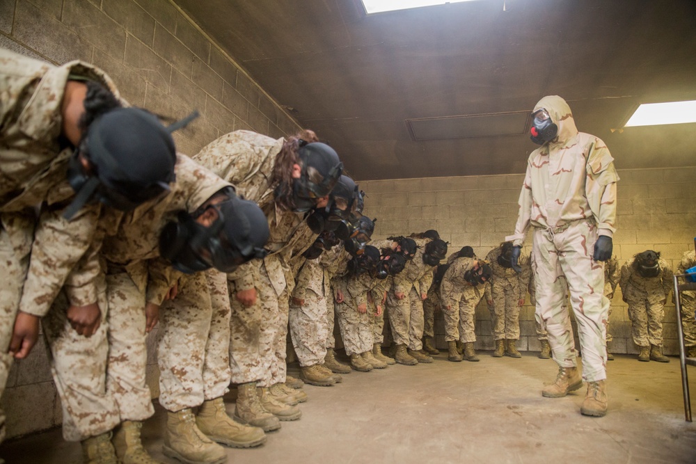 Marine recruits learn chemical warfare defense on Parris Island