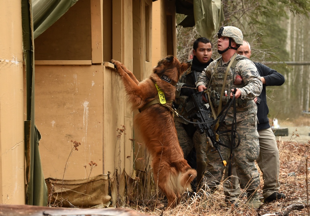 JBER Security Forces force-on-force training